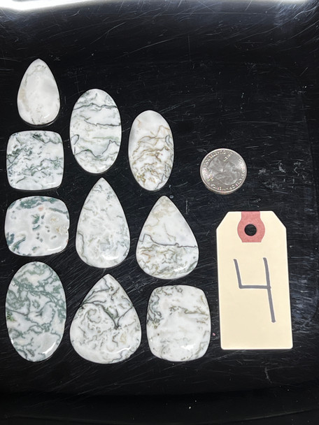 Agate, Tree, Cabochons