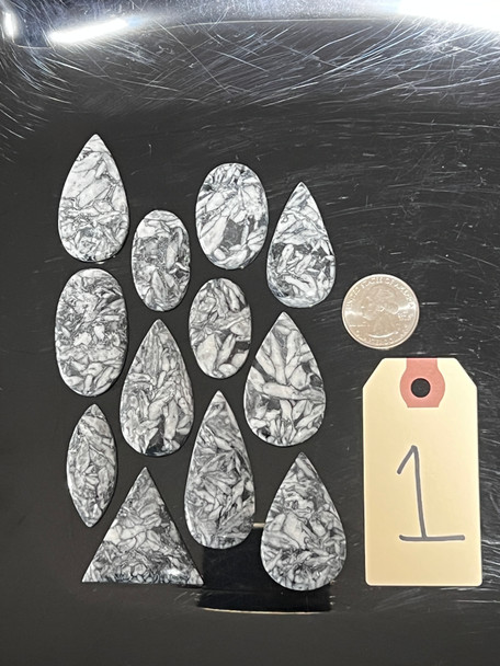 Pinolith, Side Drilled, Pick Lot You Like, 100 Grams