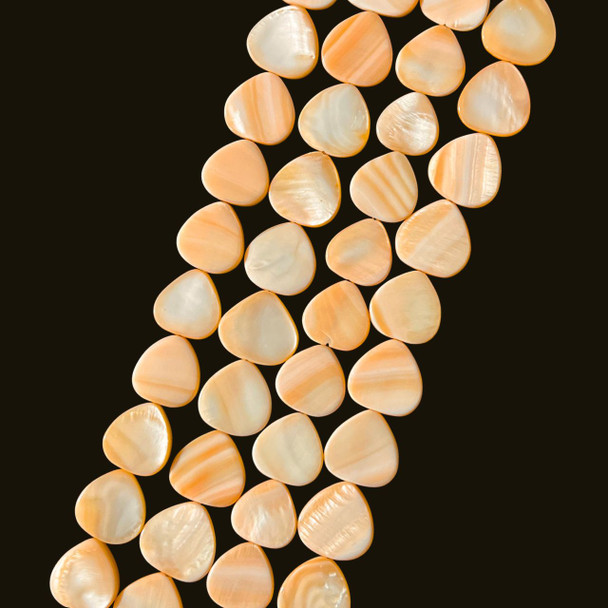 Shell, Smooth Drop, Orange, Dyed, 20mm