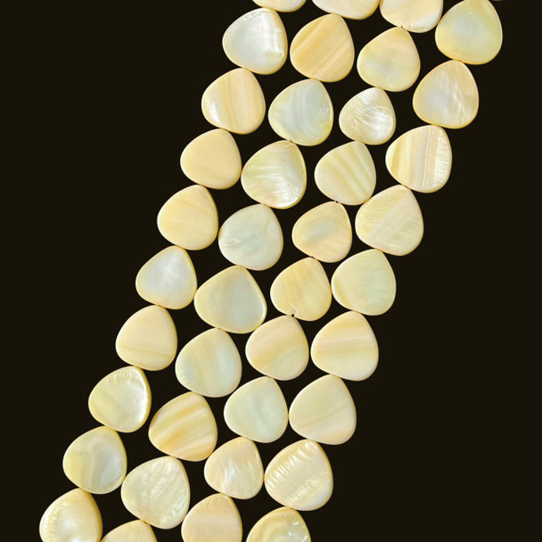 Shell, Smooth Drop, Yellow, Dyed, 14mm