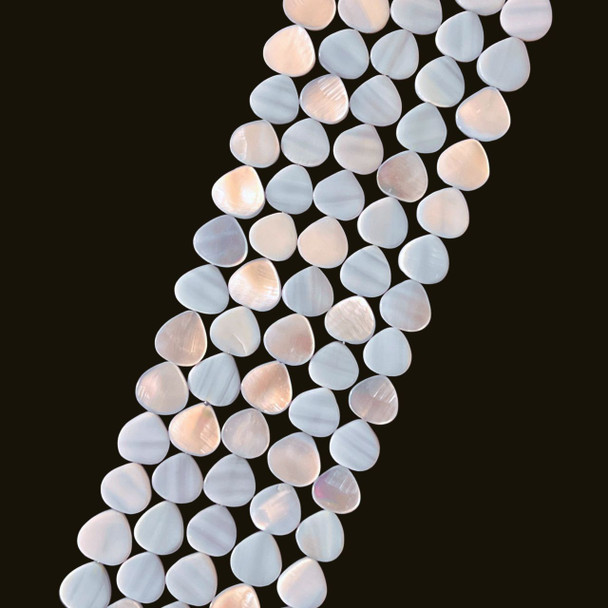 Shell, Smooth Drop, Blue, Dyed