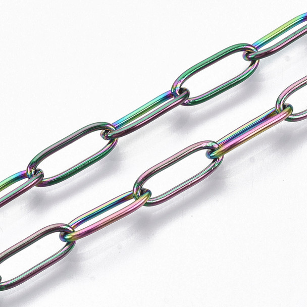 Stainless Steel Chain, Rainbow, 12x4mm, Paperclip, Soldered, 3.3 ft.