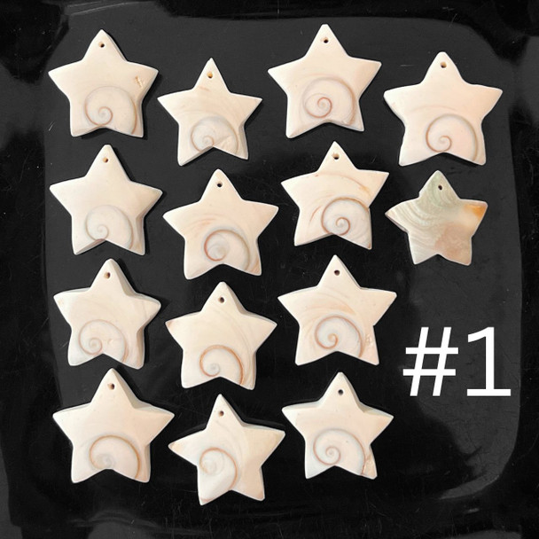 Shiva Shell, Stars, Pendants, 100 Grams