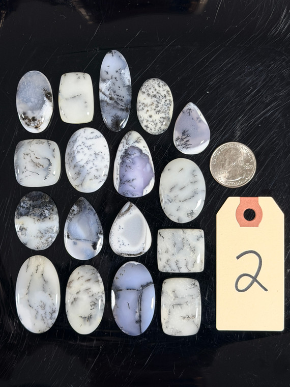 Dendritic Opal, Cabochons, Pick Lot You Like, 100 Grams