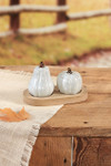 Pumpkin Patch Salt and Pepper Shakers