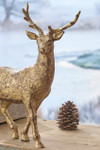 Golden Deer Duo, Set of 2