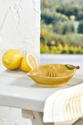 Handpainted Lemon Juicer