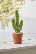 Felted Wool Cactus Décor