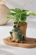 Stoneware Frog Planter