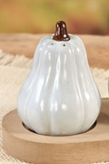 Pumpkin Patch Salt and Pepper Shakers