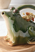 Stoneware Frog Watering Can