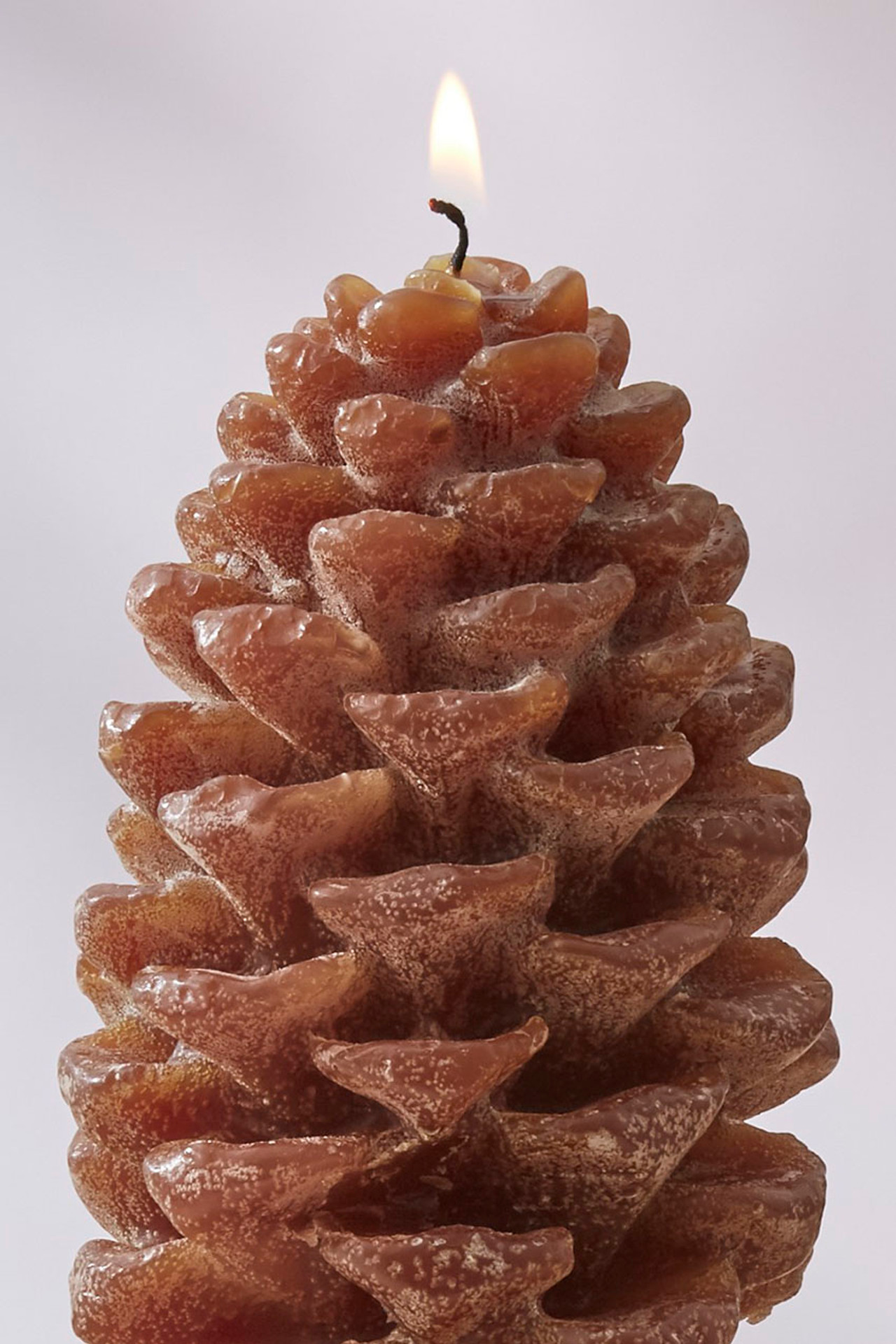 Oasis Pinecone Candle