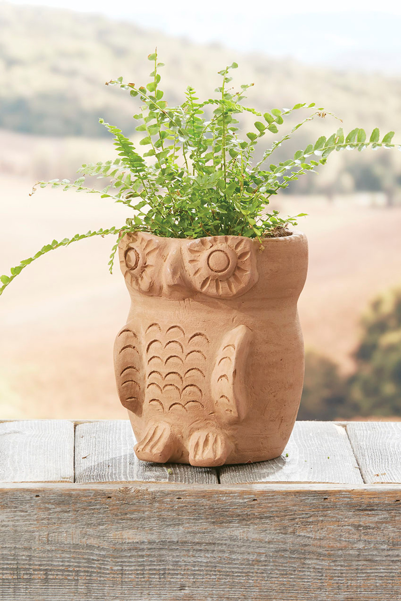 DIY Mossy Terracotta Pot Candles – Nickels Creek Mercantile