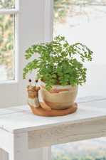 Stoneware Snail Planter, 2-Piece Set