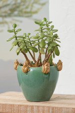 Perched Frog Planter