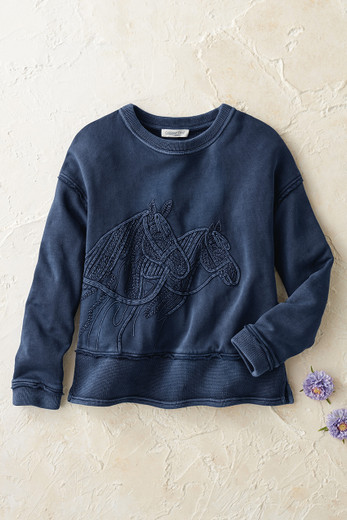 Women's Sweatshirts XS-3X | Casual Comfort Styles | Coldwater Creek