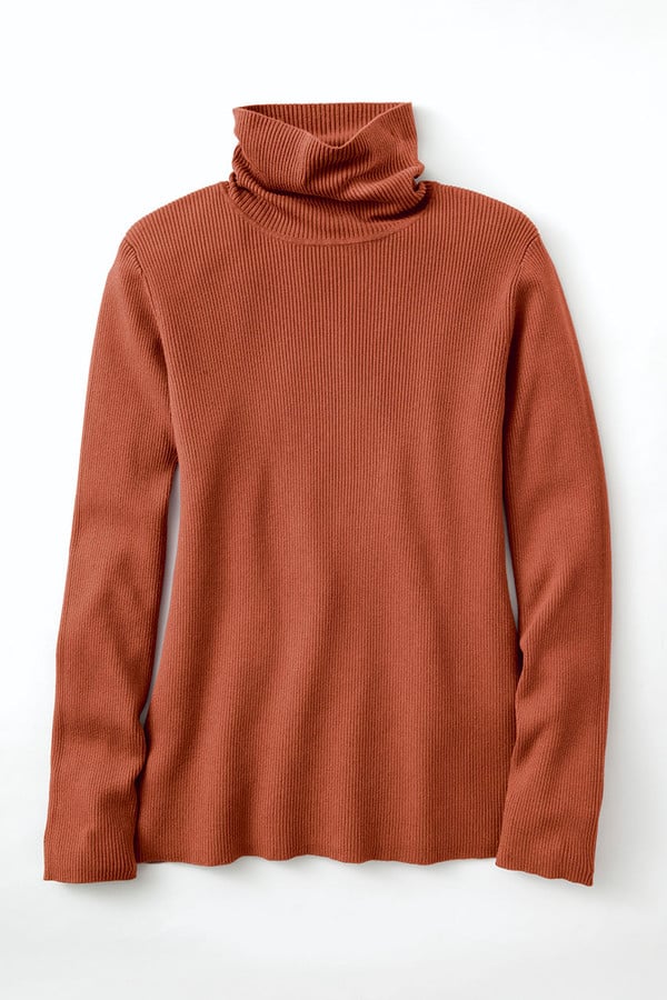 Ribbed Turtleneck Sweater