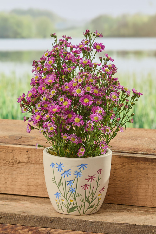 Wildflower Planter