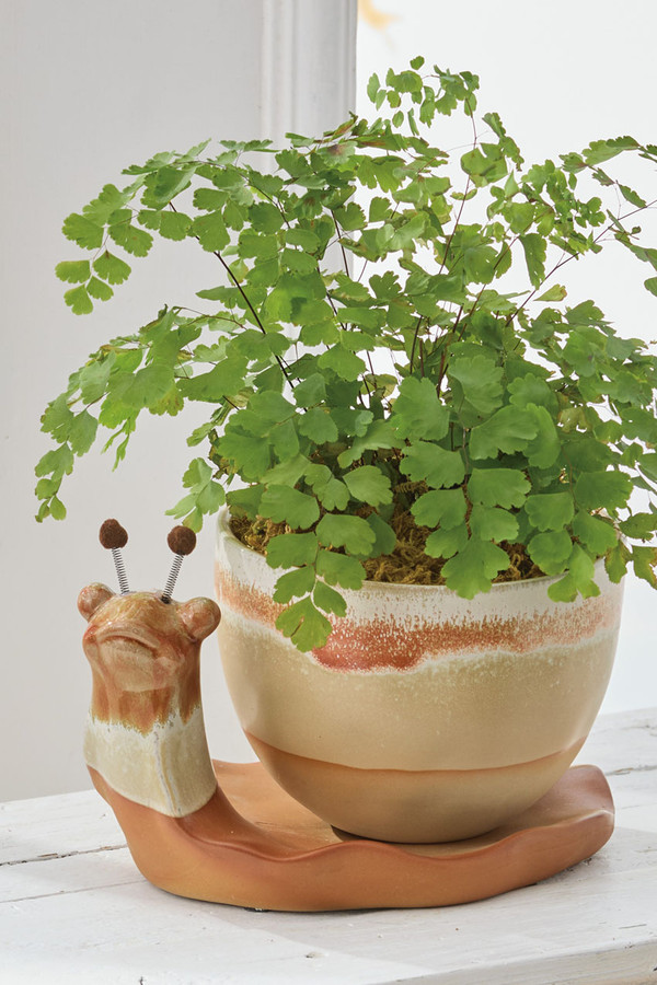 Stoneware Snail Planter, 2-Piece Set