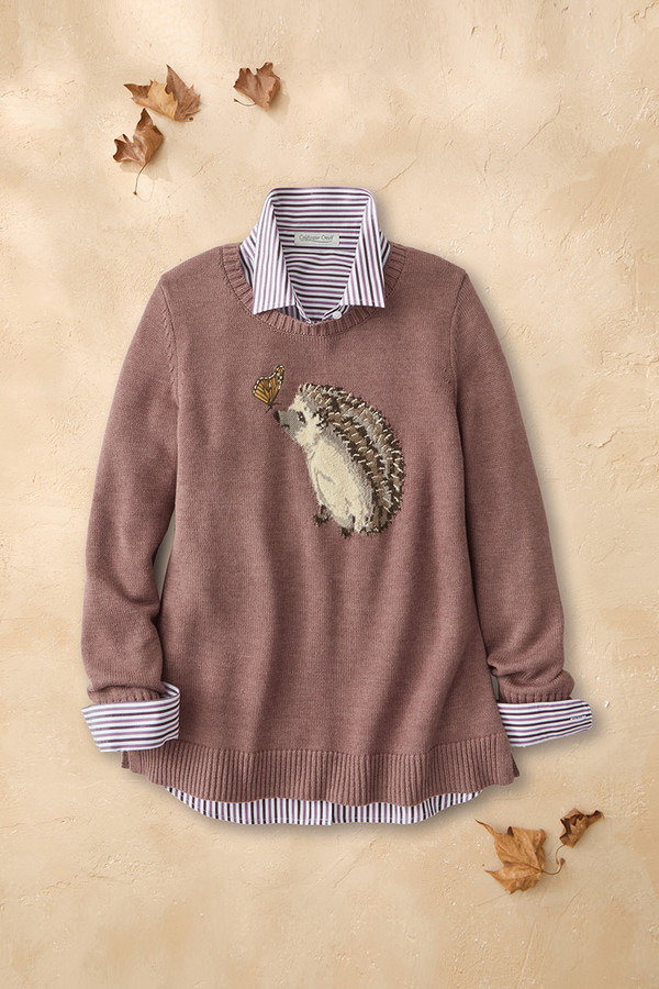 Curious Quills Sweater