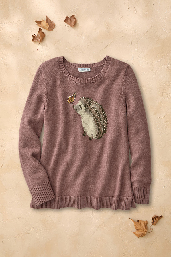 Curious Quills Sweater