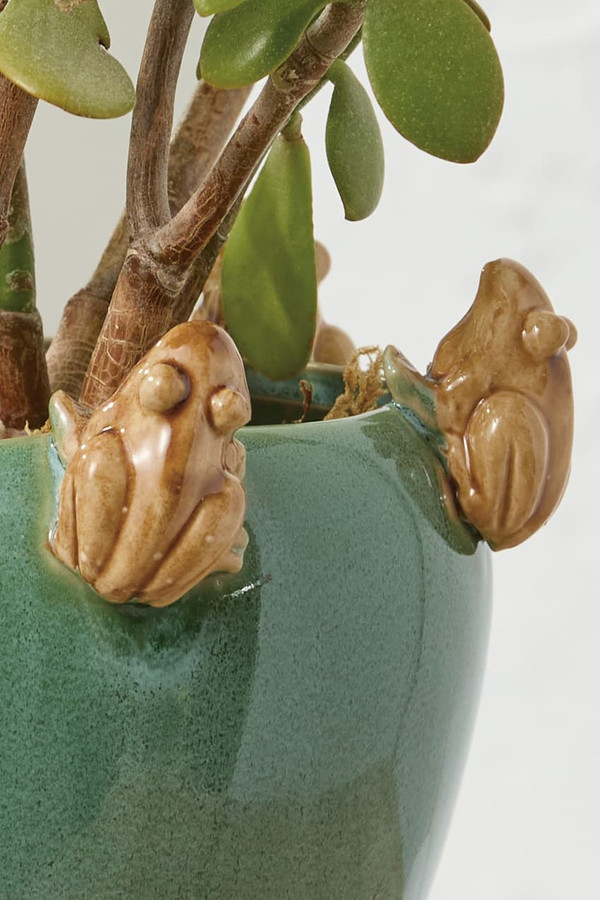 Perched Frog Planter