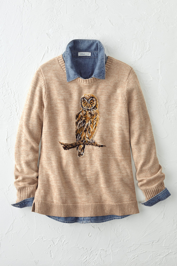 How Wise Owl Sweater