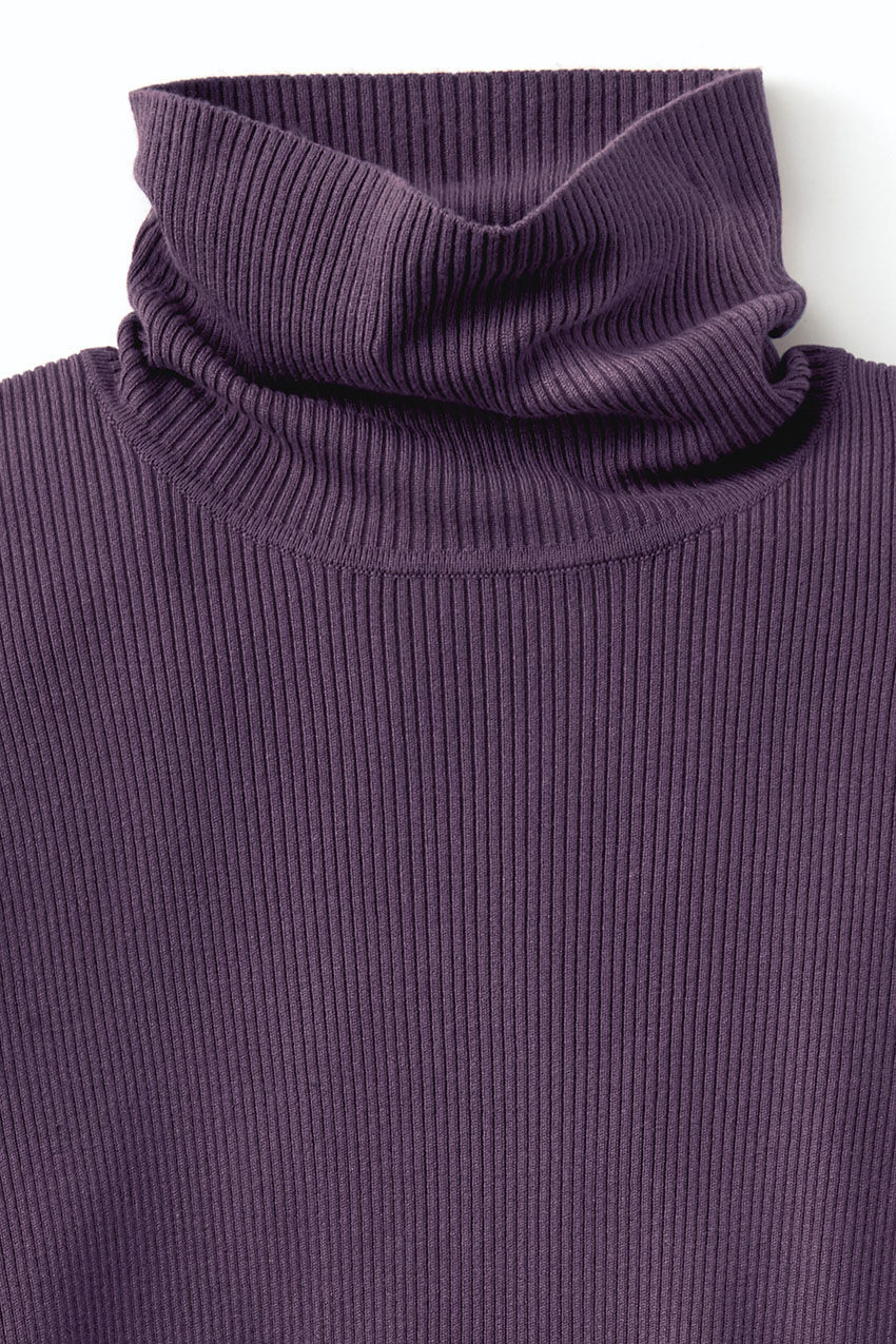 Ribbed Turtleneck Sweater
