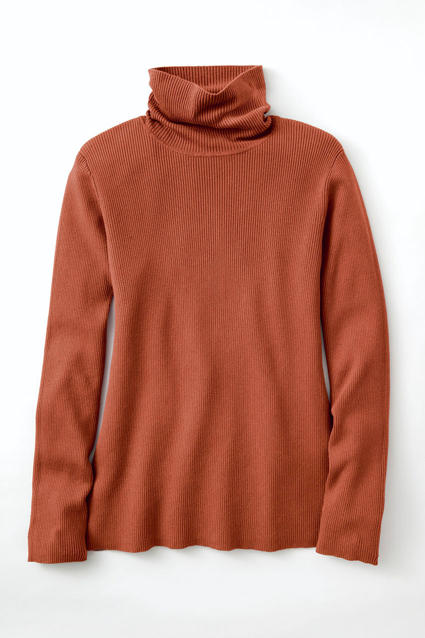 Ribbed Turtleneck Sweater