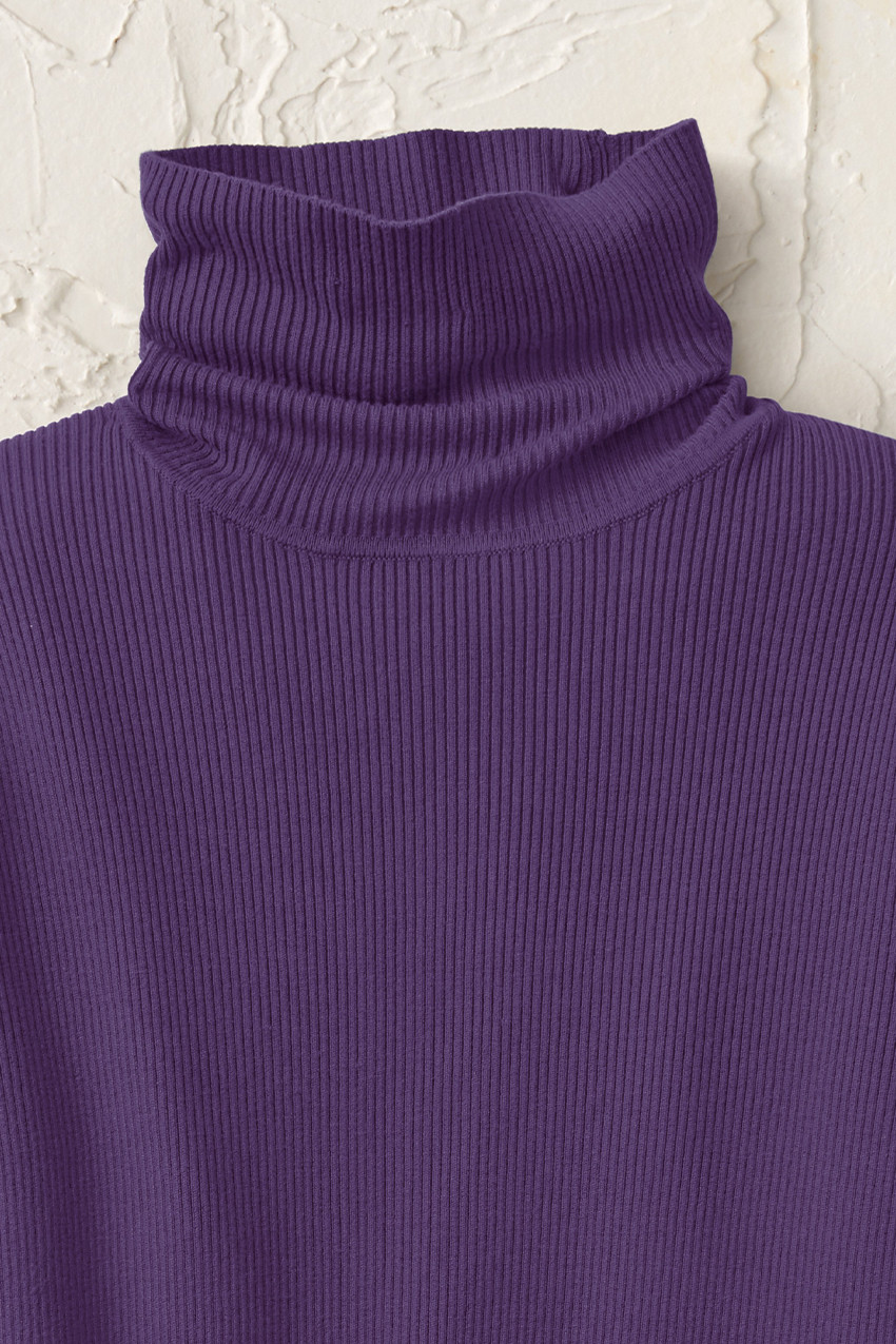 Ribbed Turtleneck Sweater