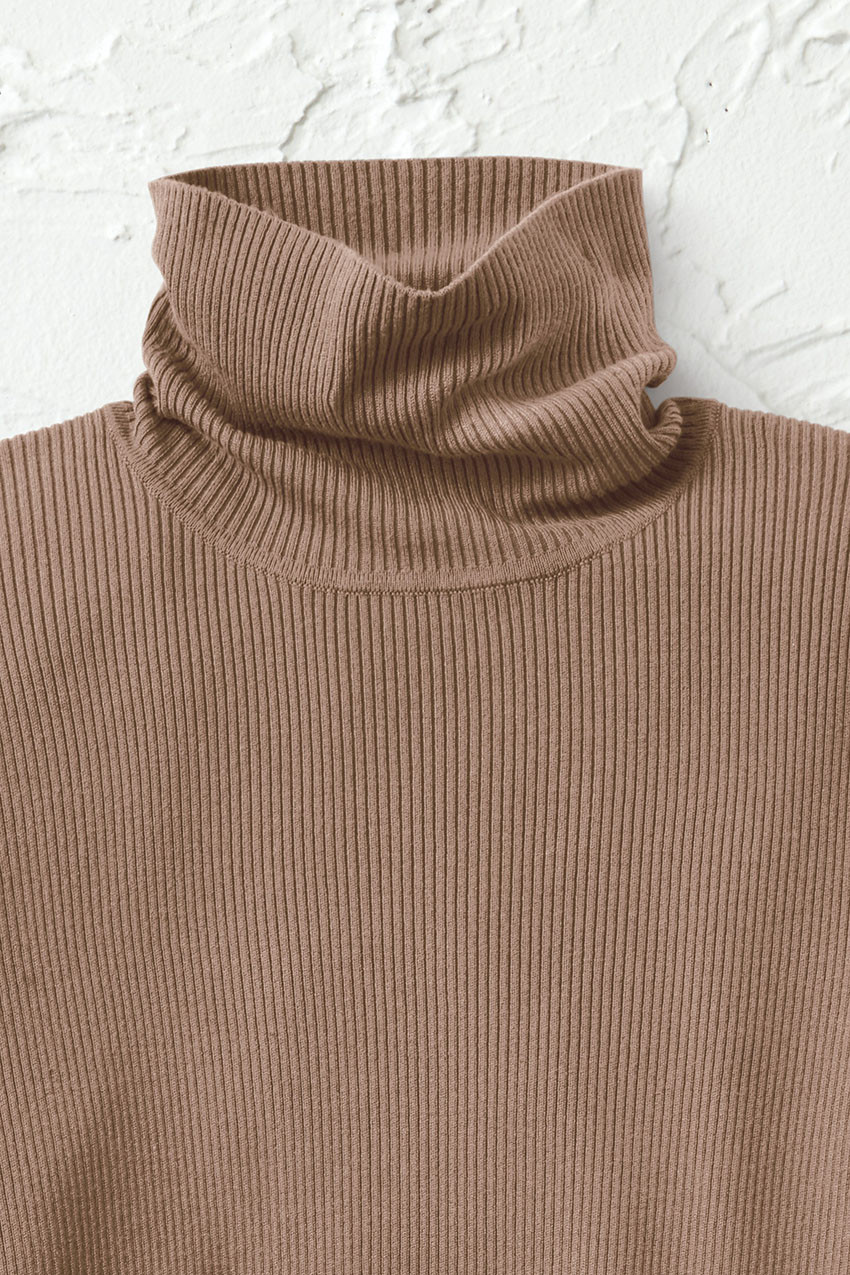 Ribbed Turtleneck Sweater