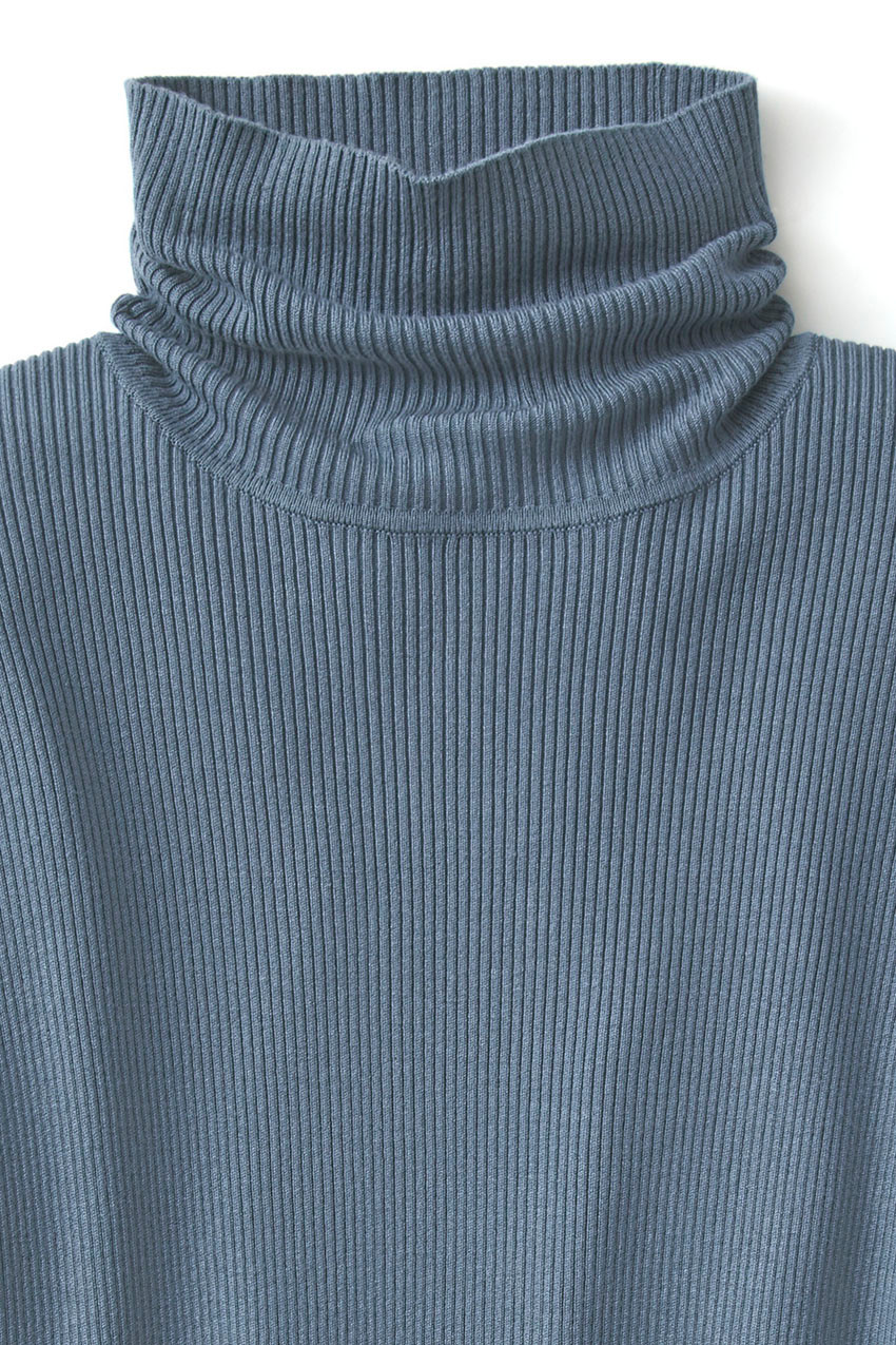 Ribbed Turtleneck Sweater