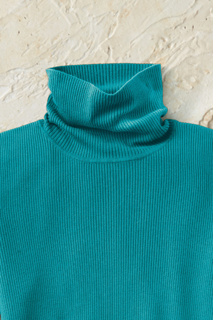 Ribbed Turtleneck Sweater