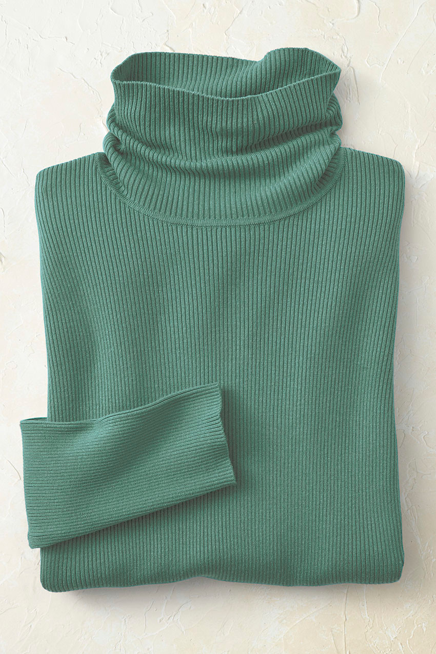 Ribbed Turtleneck Sweater