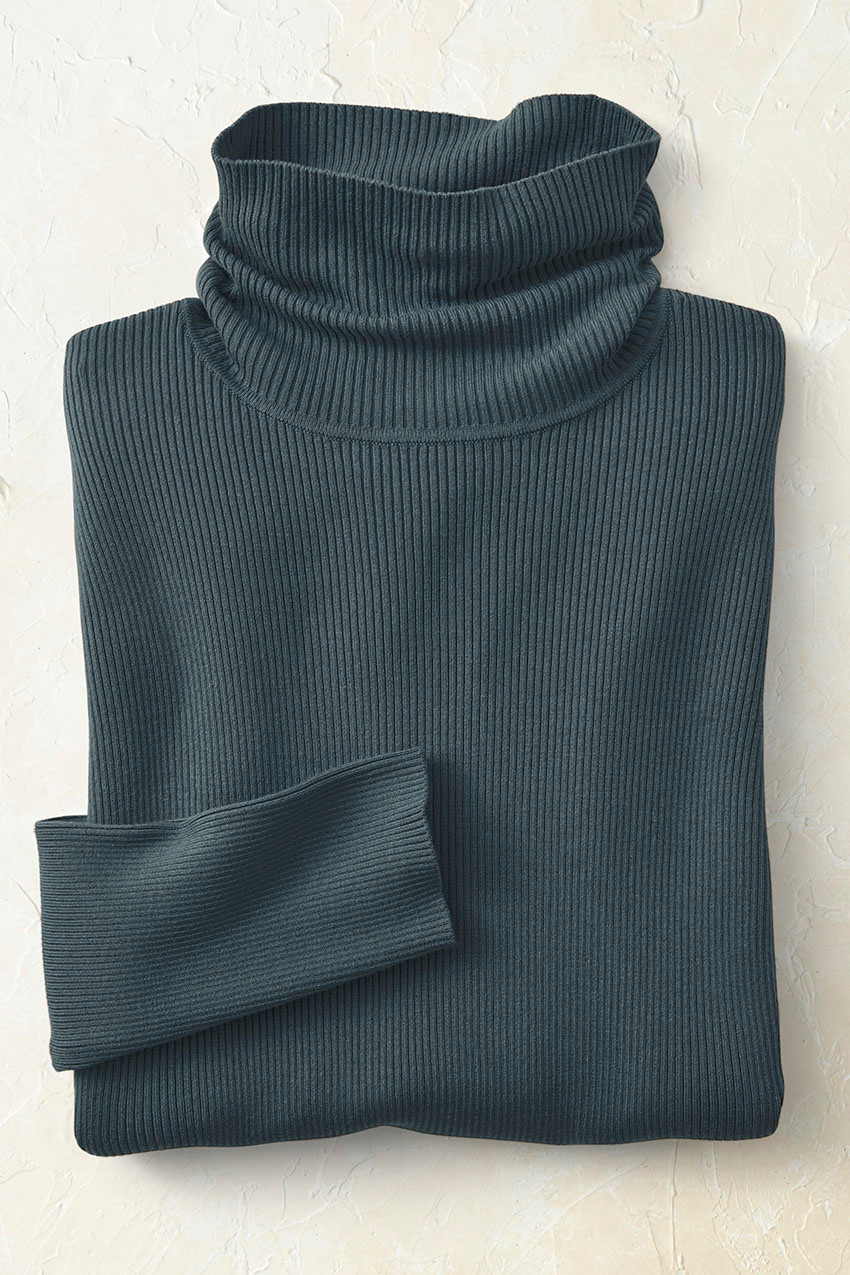 Ribbed Turtleneck Sweater