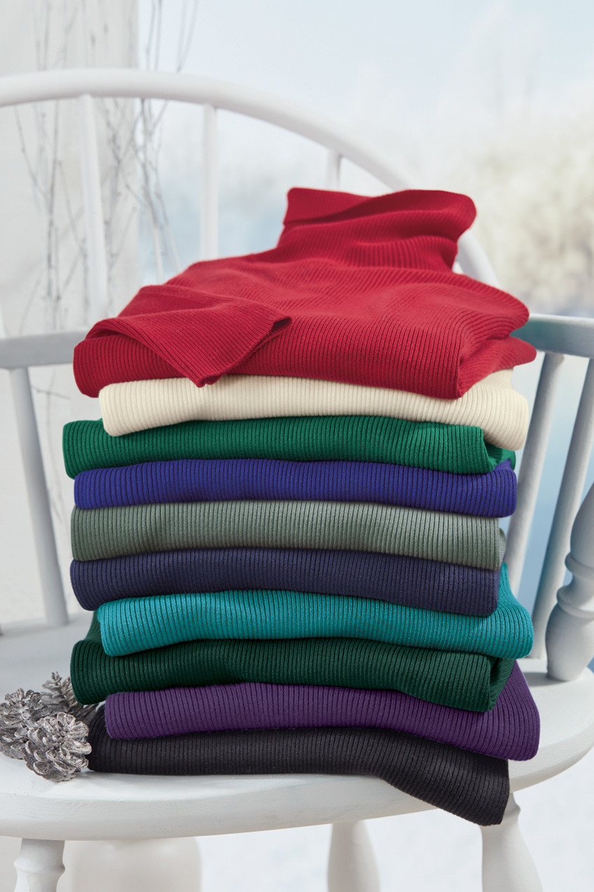 Ribbed Turtleneck Sweater