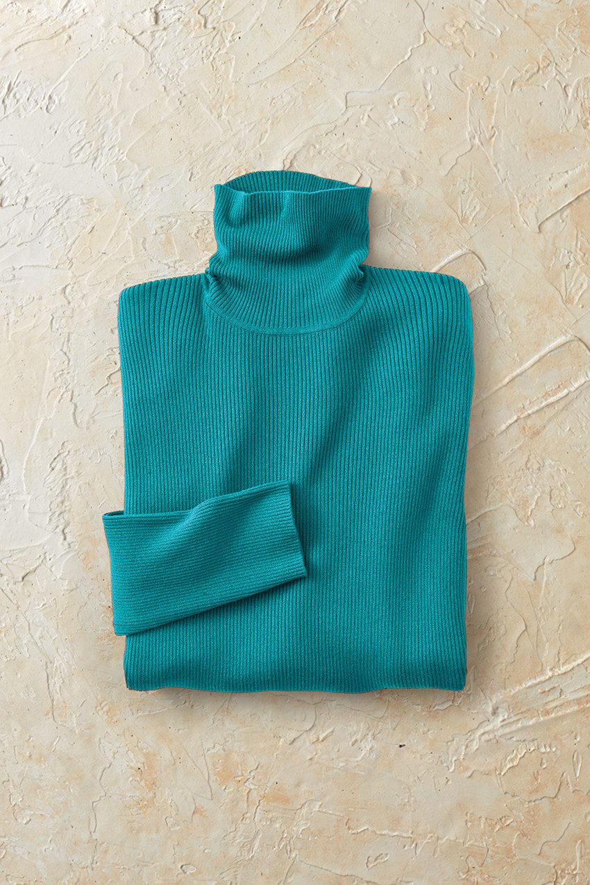 Ribbed Turtleneck Sweater