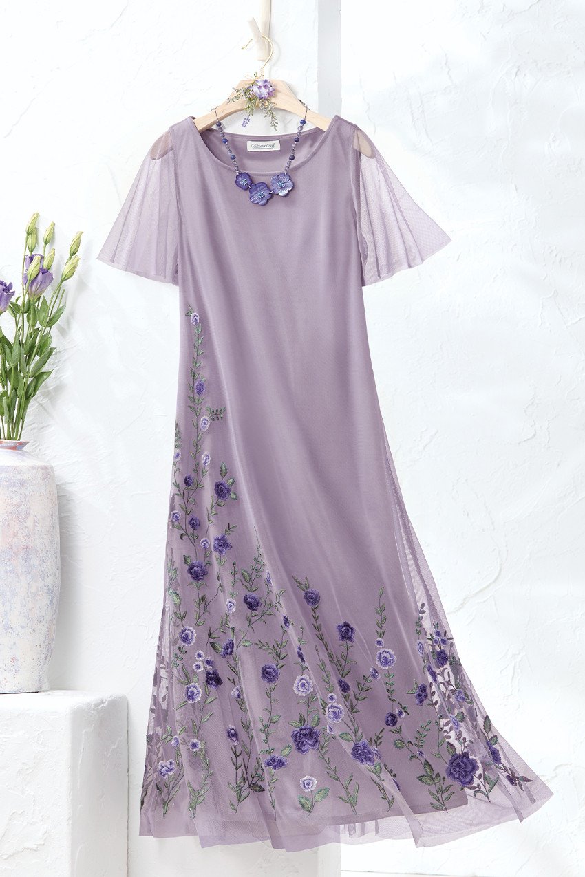 Delicate Intrigue Mesh Dress