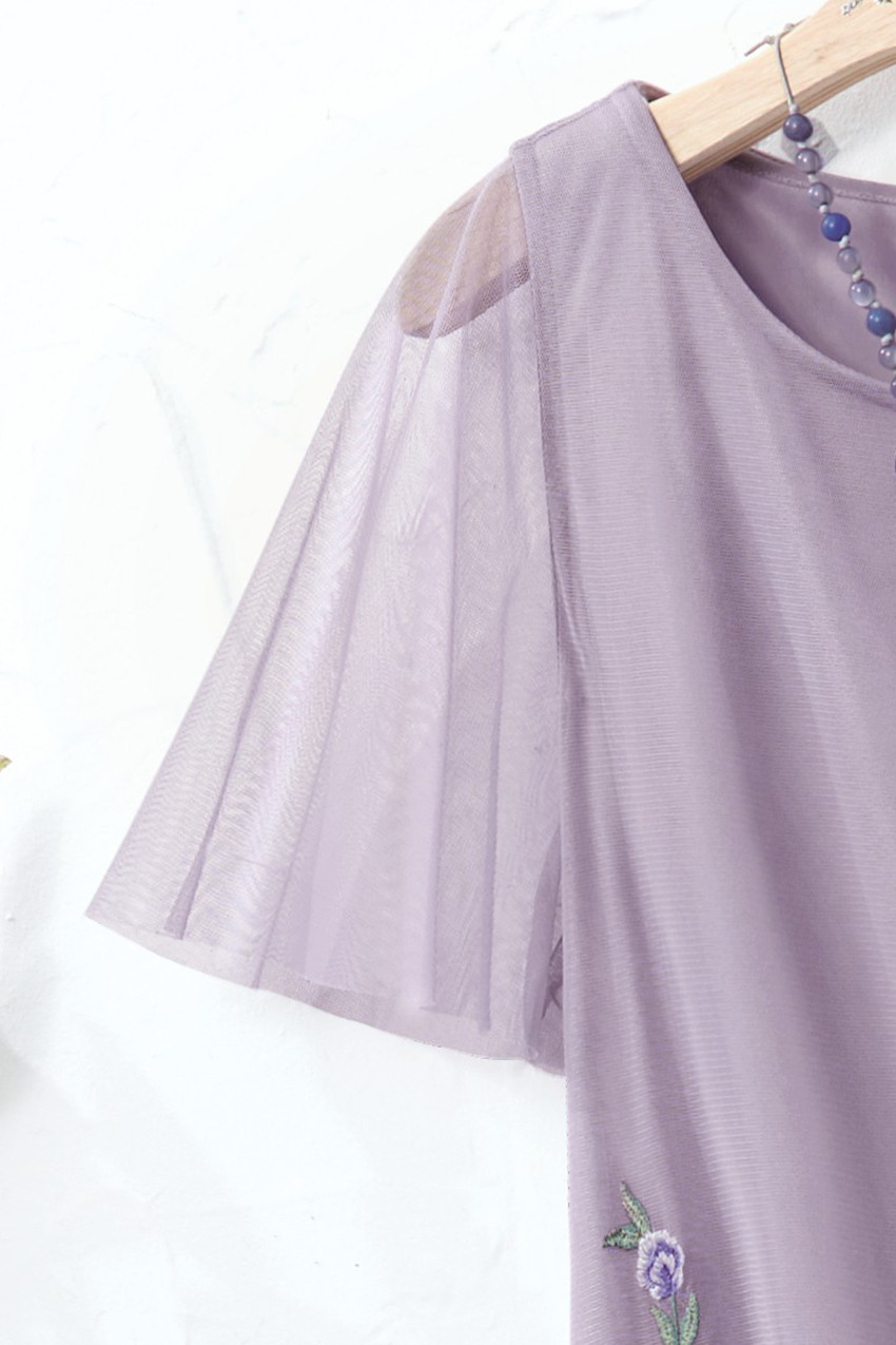 Delicate Intrigue Mesh Dress