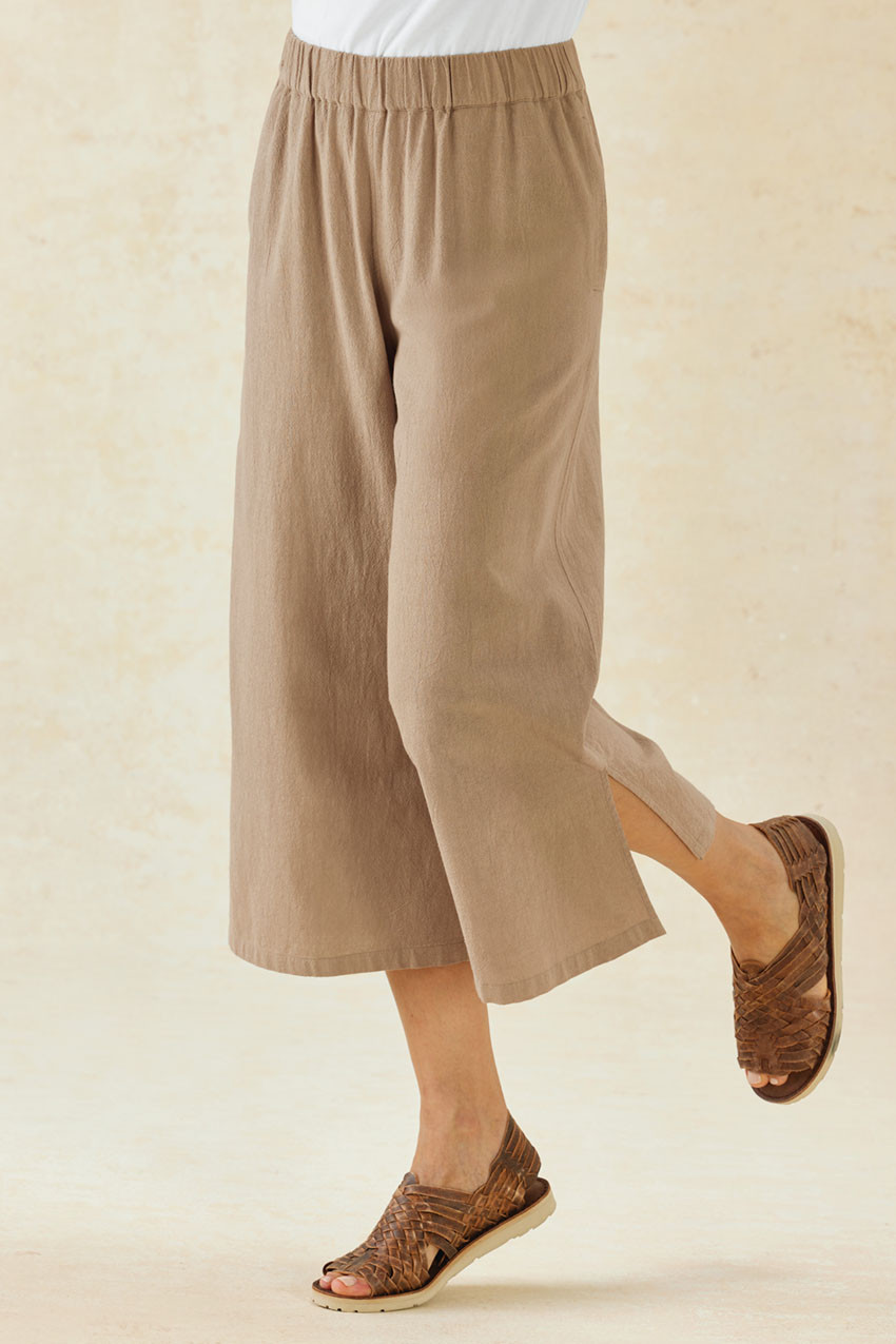 Summer Light Easy Day Crops