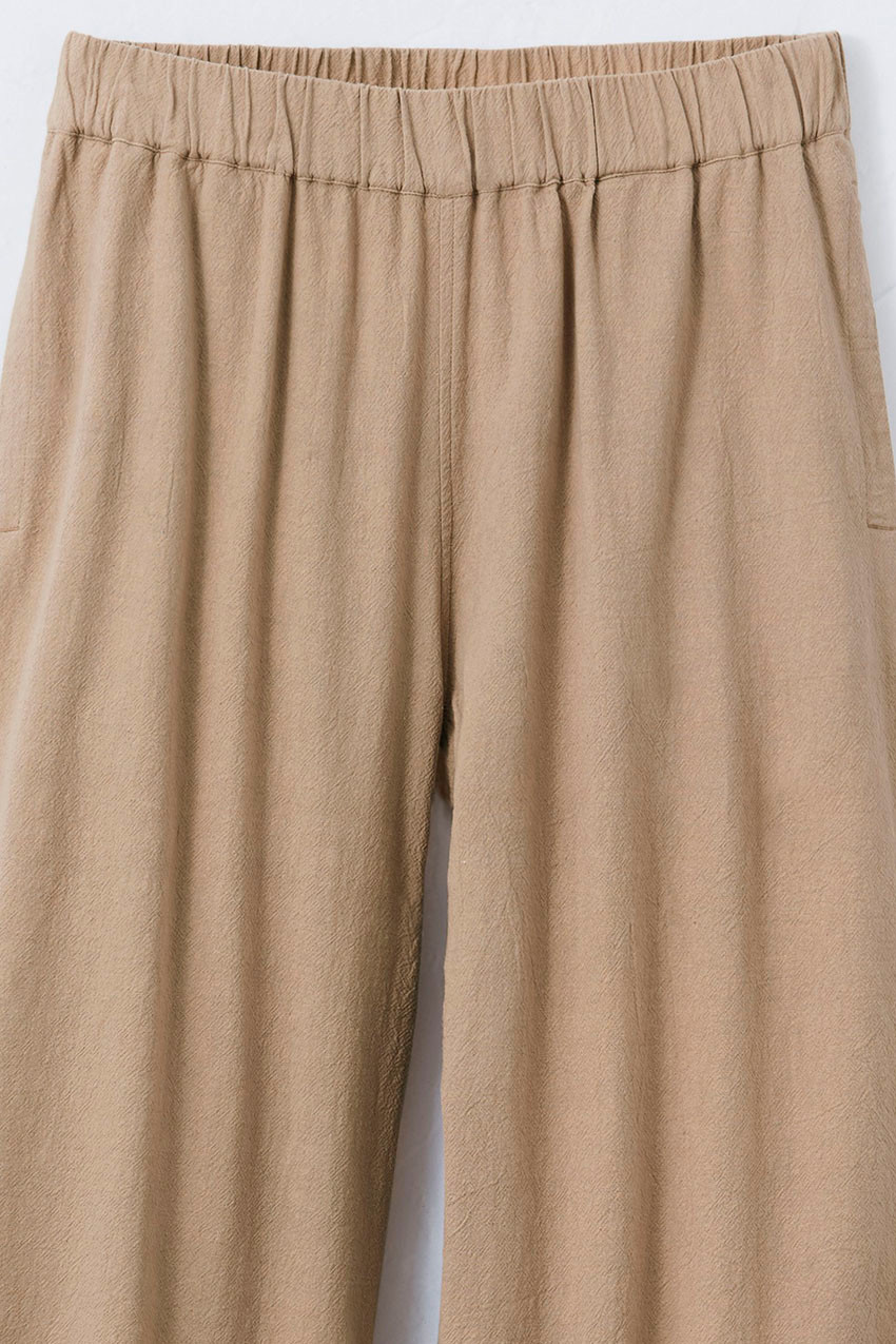 Summer Light Easy Day Crops