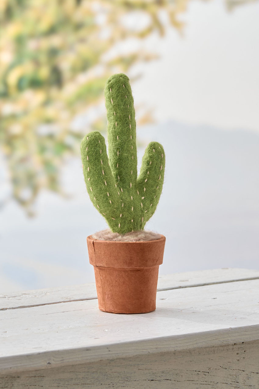 Felted Wool Cactus Décor