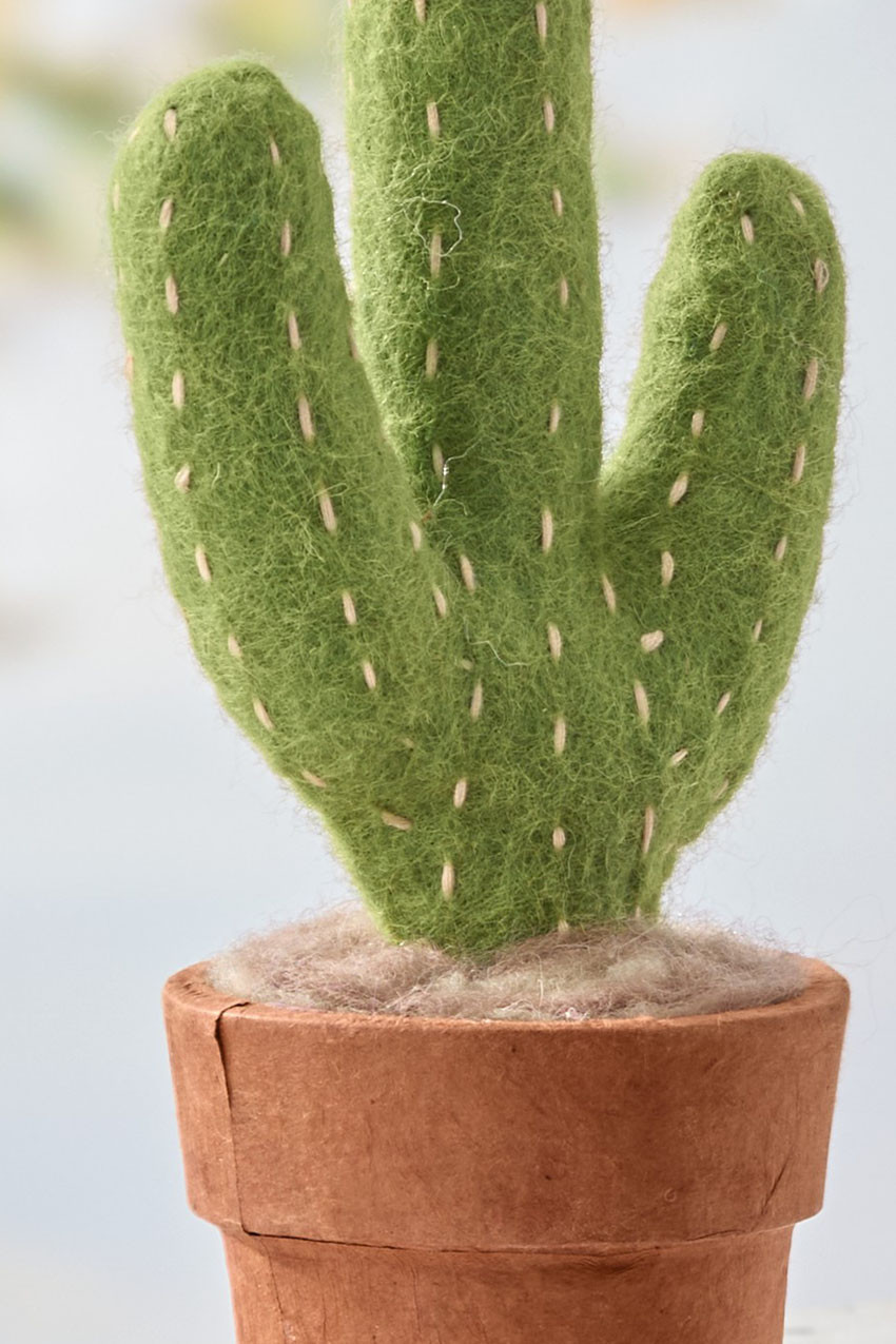 Felted Wool Cactus Décor