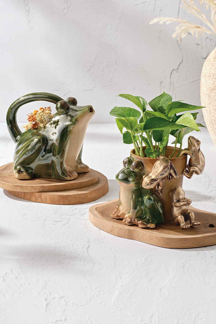 Stoneware Frog Planter