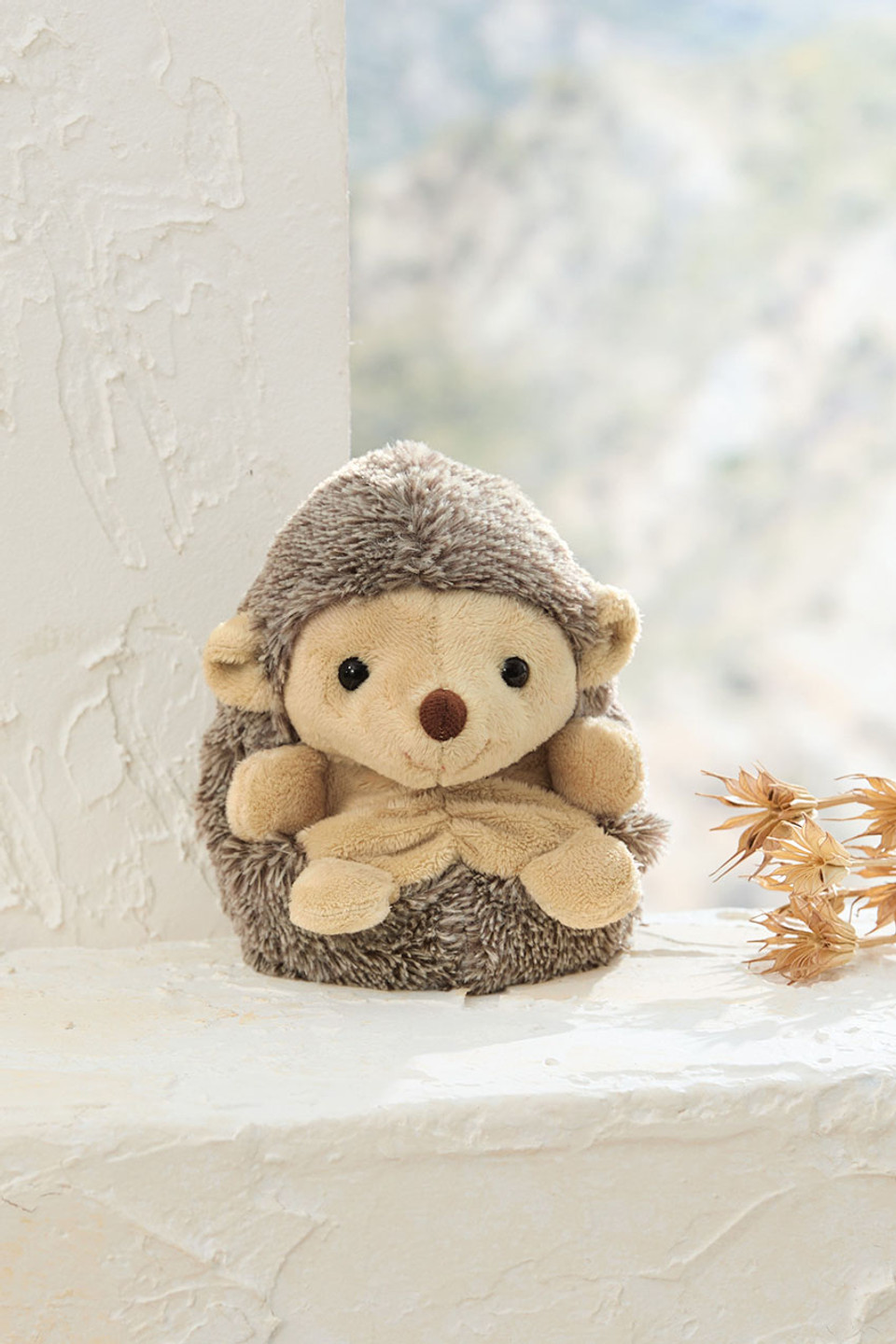 Sweet Hubert the Hedgehog
