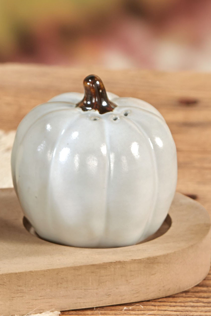 Pumpkin Patch Salt and Pepper Shakers