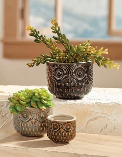 Home Décor