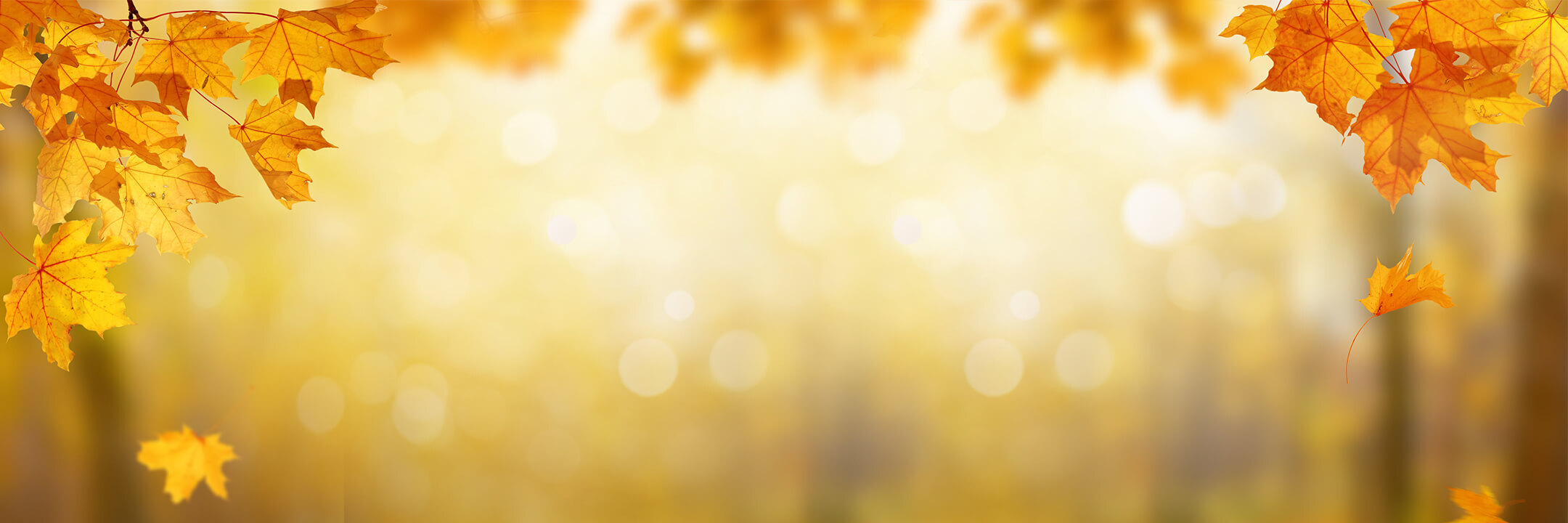 New Styles Added to Markdowns