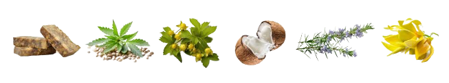 everyday-shampoo-ingredients-removebg-preview-2.png
