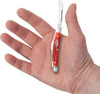 Case XX 10747 Small Congress Jig Dark Red Bone Stainless Steel Pocket Knife